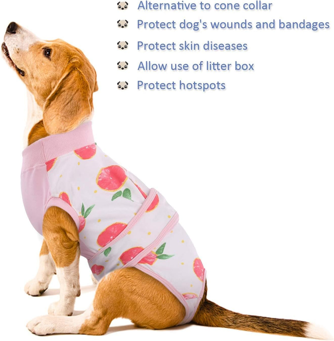 Quick Recovery Suit for Pets – Healing After Surgery-Apples-XS-Nora Luxe