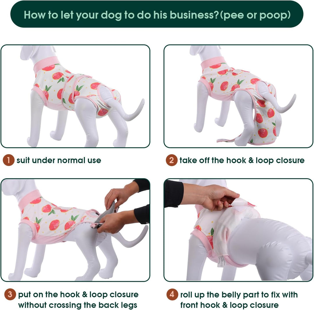 Quick Recovery Suit for Pets – Healing After Surgery-Apples-XS-Nora Luxe