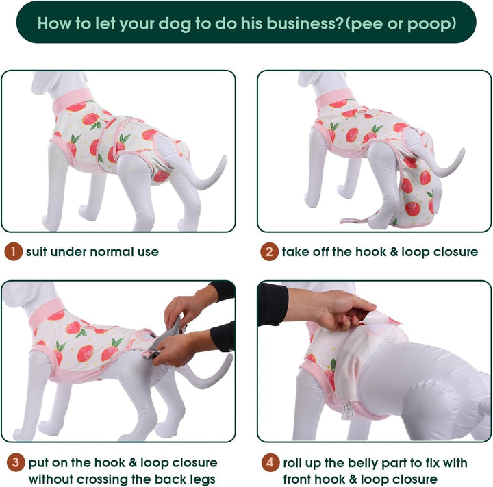 Quick Recovery Suit for Pets – Healing After Surgery-Apples-XS-Nora Luxe