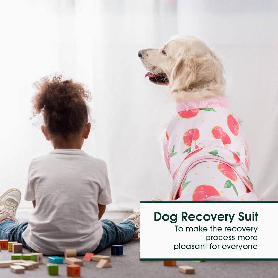 Quick Recovery Suit for Pets – Healing After Surgery-Apples-XS-Nora Luxe