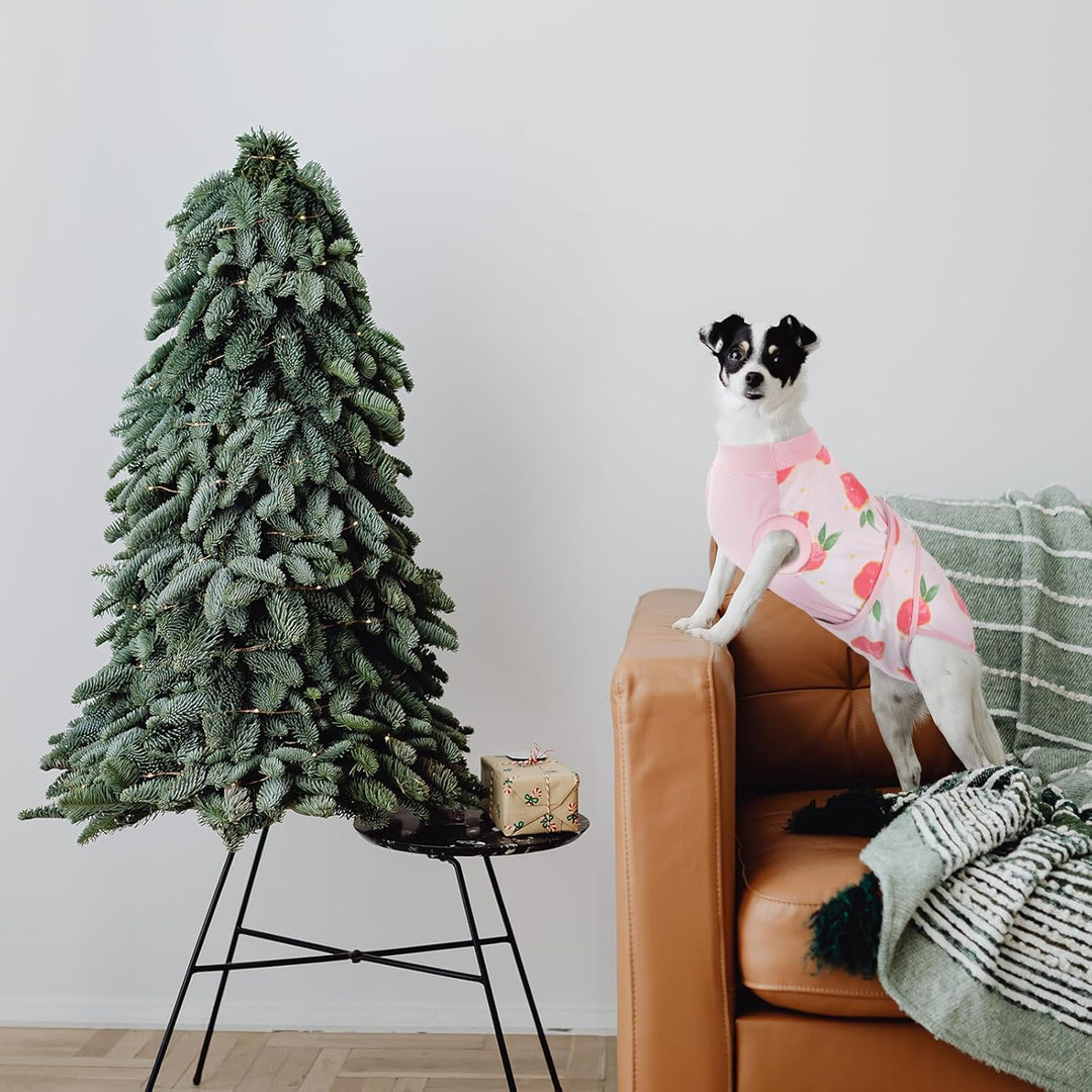 Quick Recovery Suit for Pets – Healing After Surgery-Apples-XS-Nora Luxe