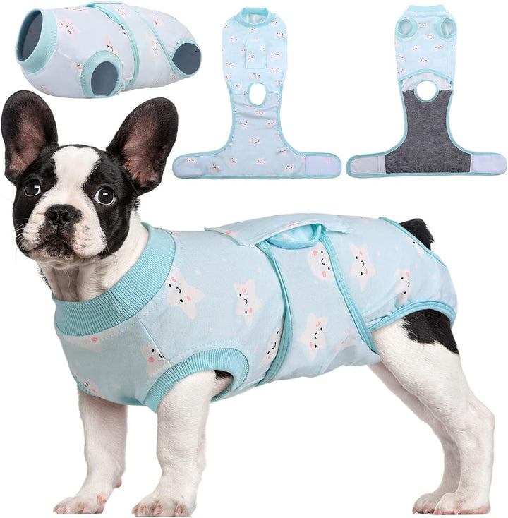 Quick Recovery Suit for Pets – Healing After Surgery-Apples-XS-Nora Luxe
