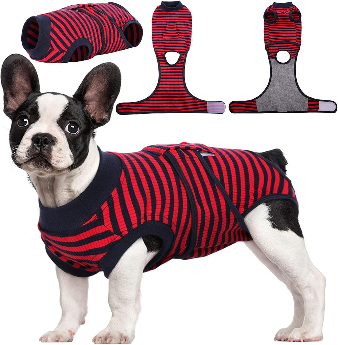 Quick Recovery Suit for Pets – Healing After Surgery-Apples-XS-Nora Luxe