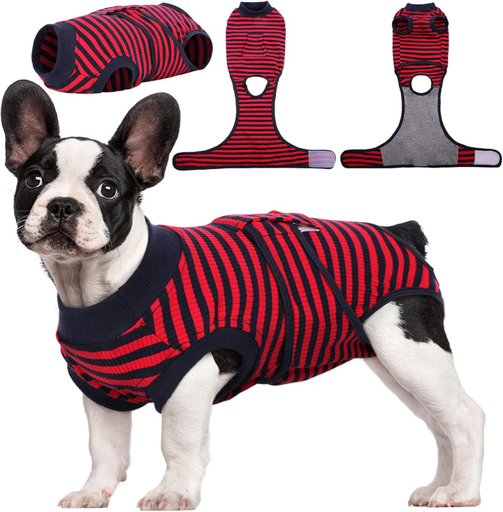 Quick Recovery Suit for Pets – Healing After Surgery-Apples-XS-Nora Luxe