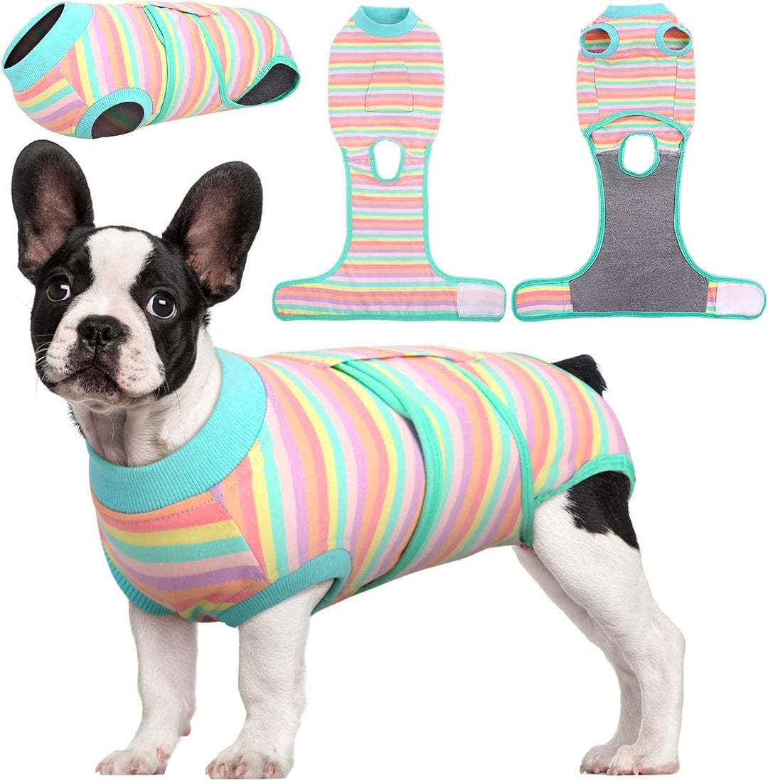 Quick Recovery Suit for Pets – Healing After Surgery-Apples-XS-Nora Luxe