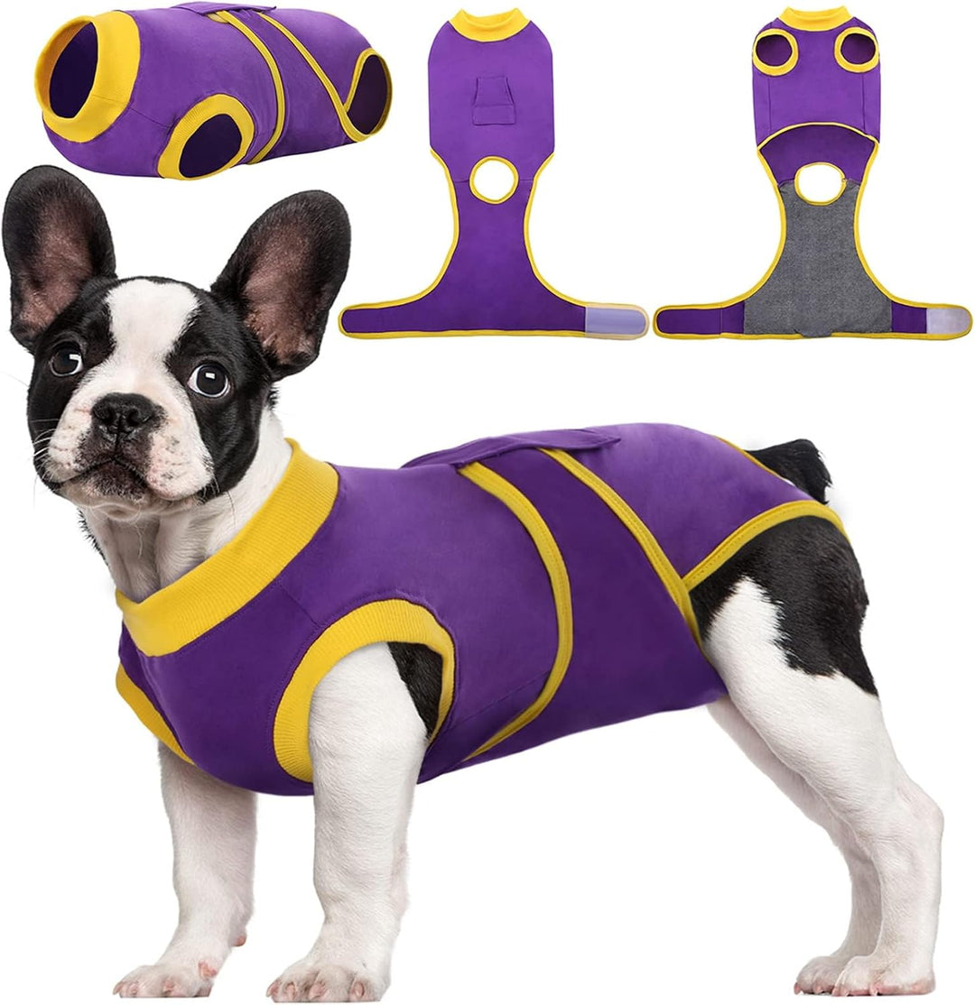 Quick Recovery Suit for Pets – Healing After Surgery-Apples-XS-Nora Luxe