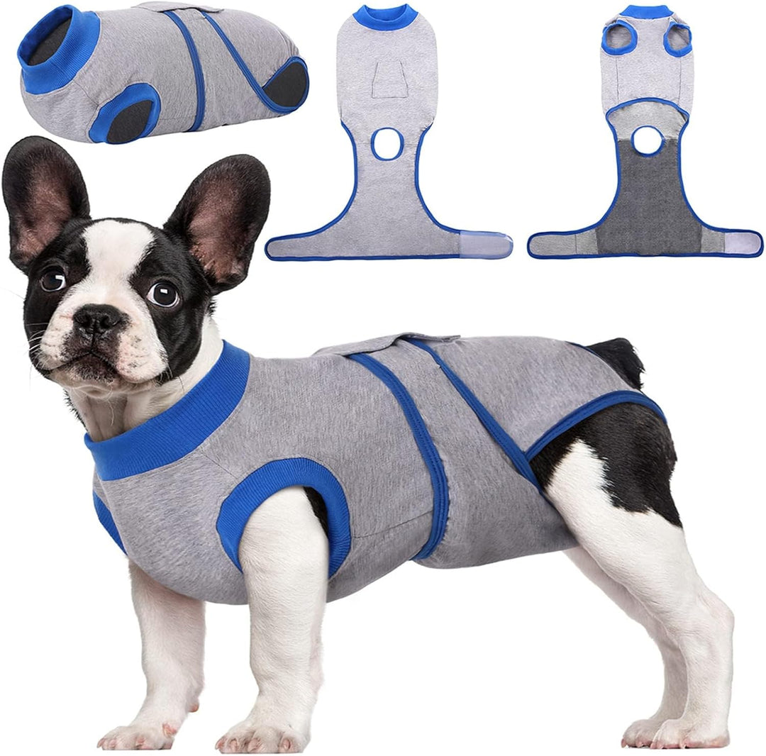 Quick Recovery Suit for Pets – Healing After Surgery-Apples-XS-Nora Luxe