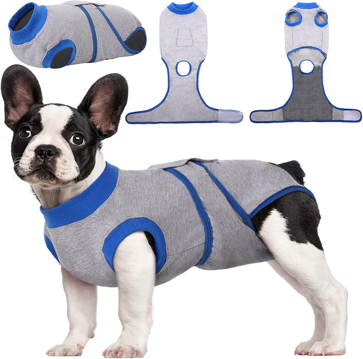 Quick Recovery Suit for Pets – Healing After Surgery-Apples-XS-Nora Luxe