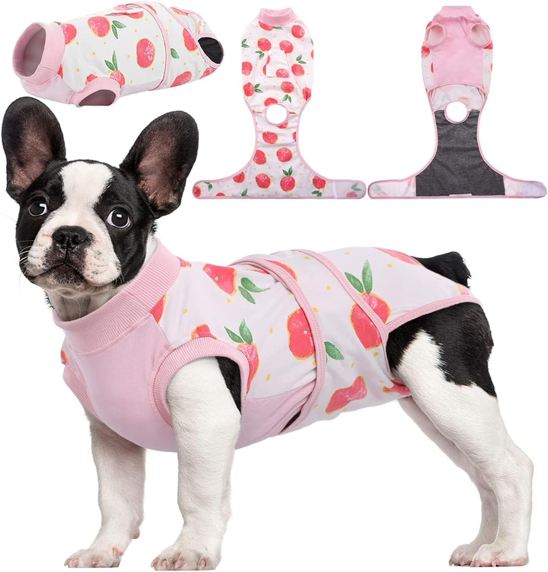 Quick Recovery Suit for Pets – Healing After Surgery-Apples-XS-Nora Luxe