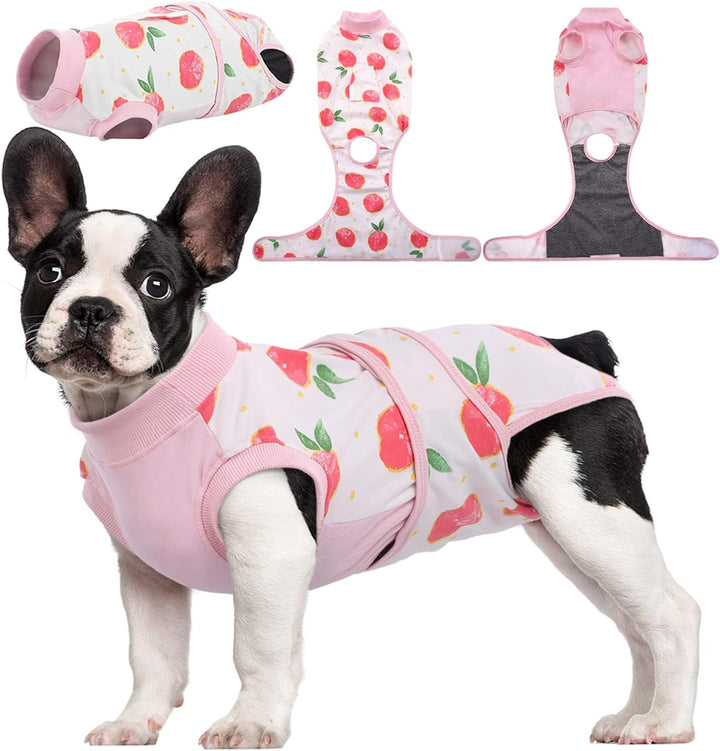 Quick Recovery Suit for Pets – Healing After Surgery-Apples-XS-Nora Luxe