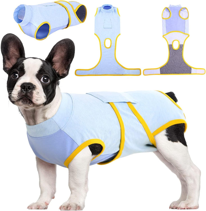Quick Recovery Suit for Pets – Healing After Surgery-Blue-XS-Nora Luxe