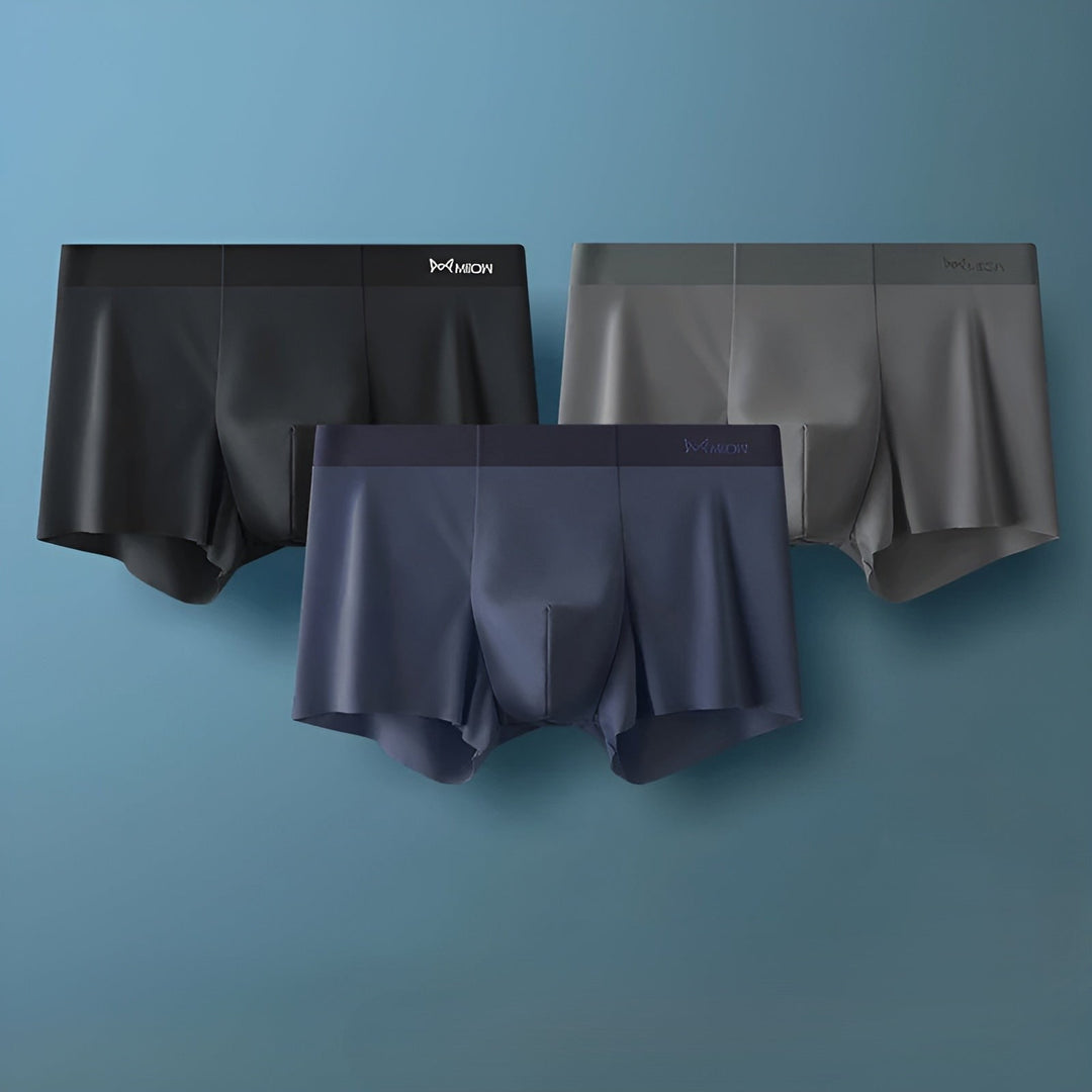 Seamless Men's Boxers - Leo-A-L-Nora Luxe