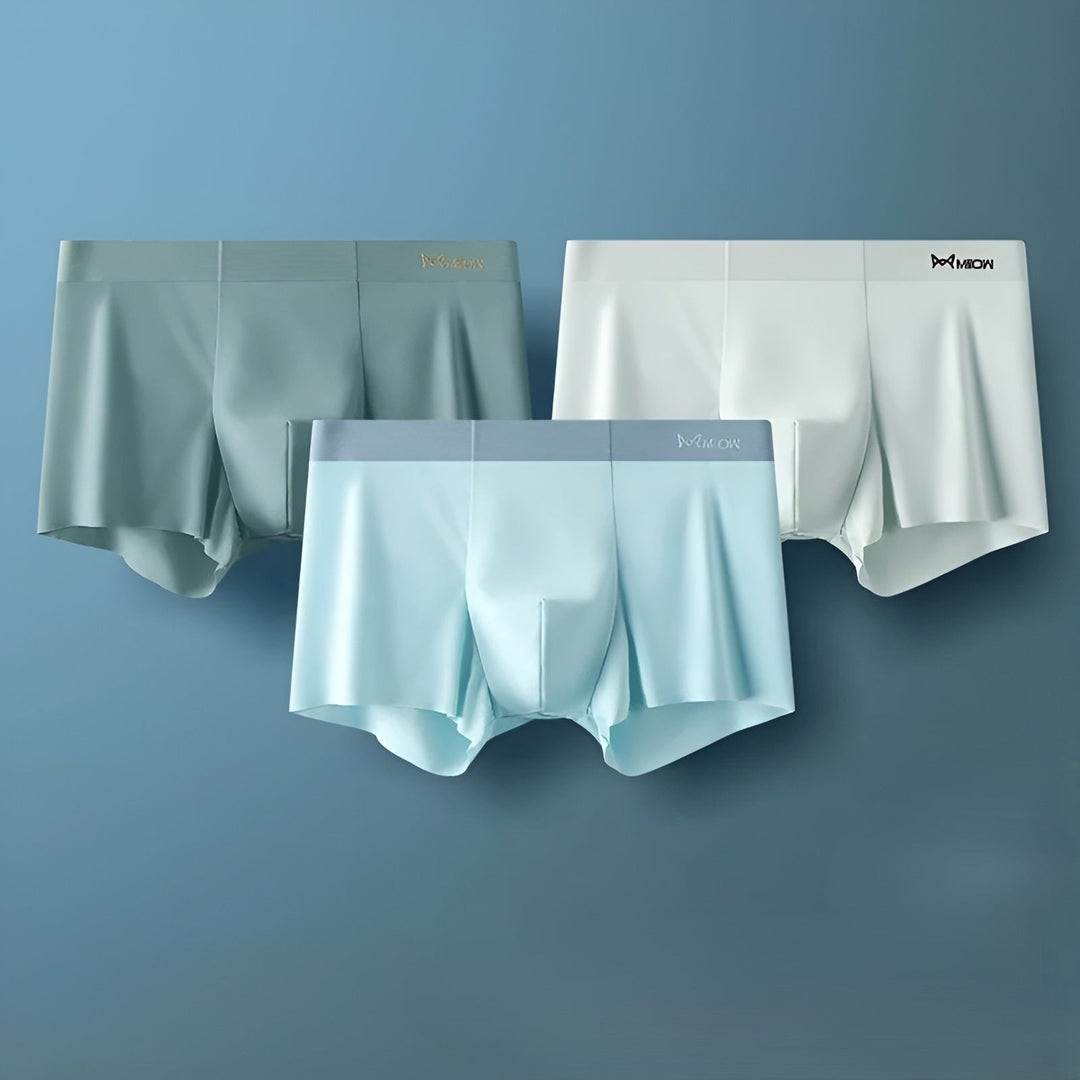 Seamless Men's Boxers - Leo-B-L-Nora Luxe