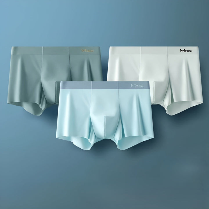 Seamless Men's Boxers - Leo-B-L-Nora Luxe