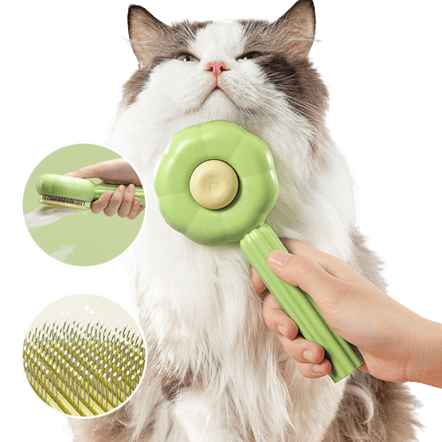 Self-Cleaning Cat Brush - PurrfectBrush-Green-Nora Luxe