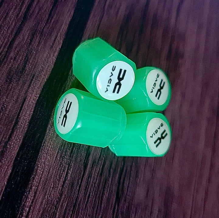 Set of 4 Glow-in-the-Dark Valve Caps with Logo – LuxaGlow-Dacia-Nora Luxe