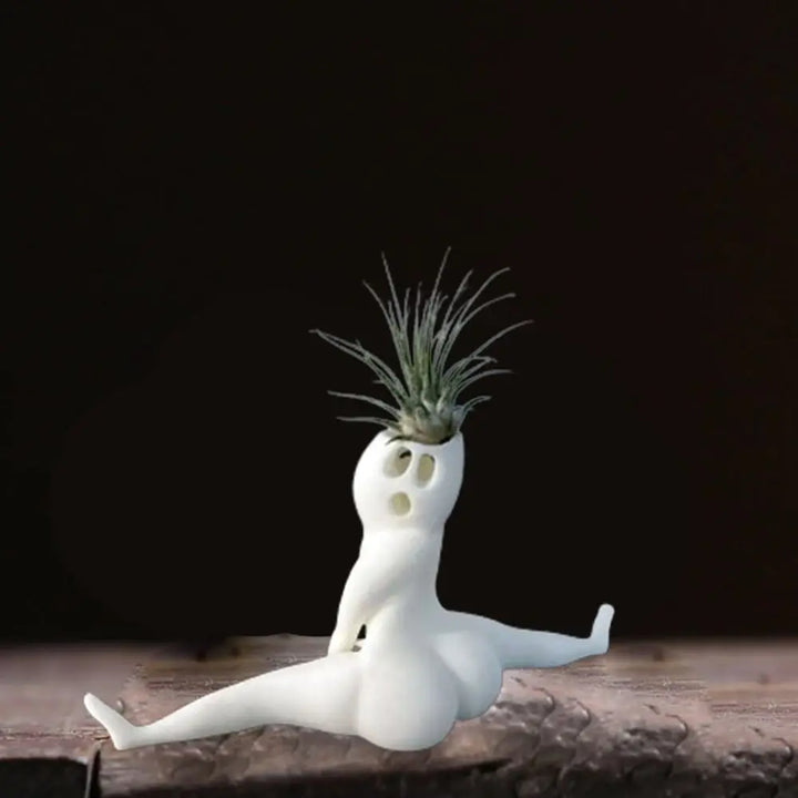 Spooky Shape Air Plant Display - SpookyBuddy-Nora Luxe