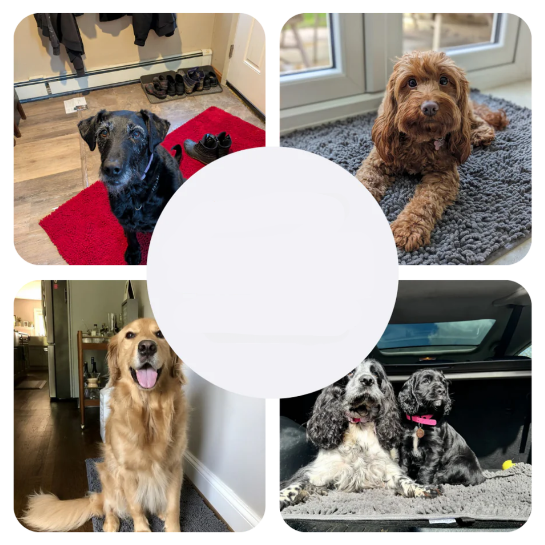 Super Absorbent Dog Mat – PawMat-Beige-15.8×23.6in-Nora Luxe