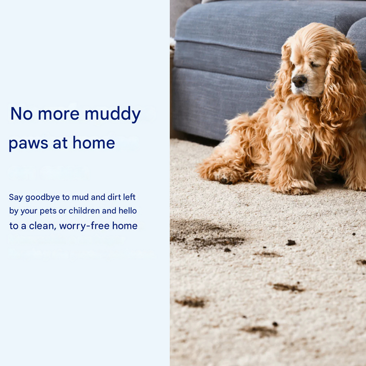 Super Absorbent Dog Mat – PawMat-Beige-15.8×23.6in-Nora Luxe