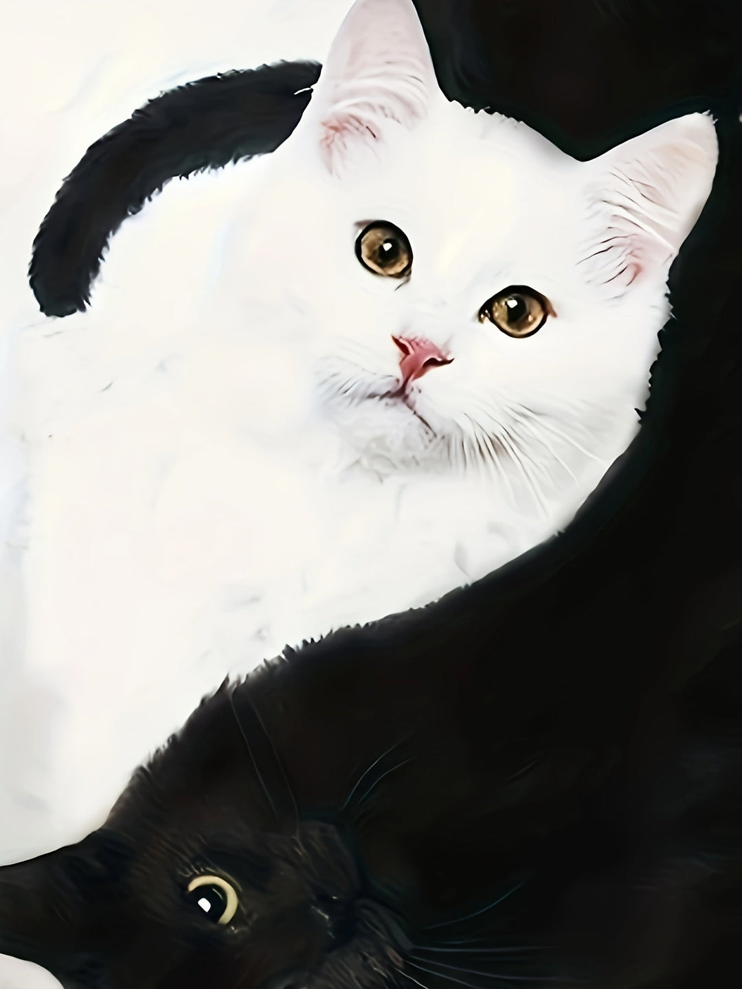 T-shirt with Cat Print and Trendy Colour Blocks - Marit-S-Nora Luxe