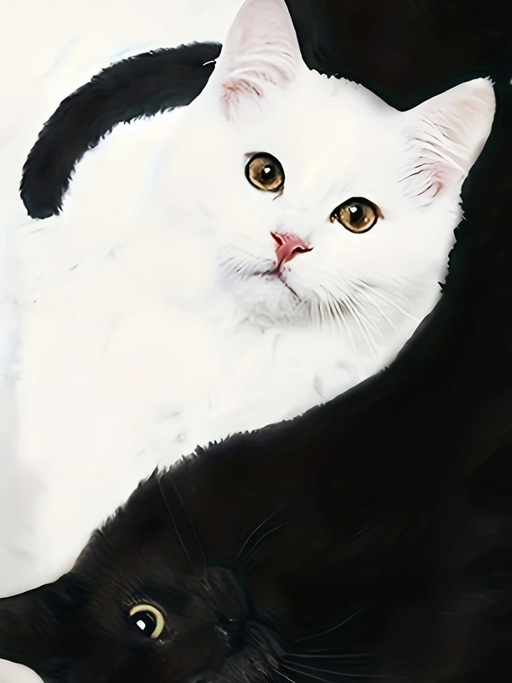 T-shirt with Cat Print and Trendy Colour Blocks - Marit-S-Nora Luxe