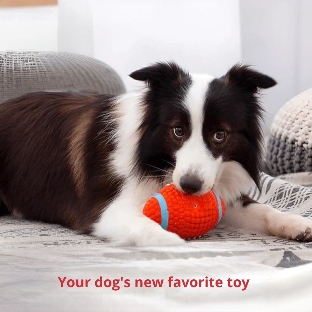 The Indestructible Playmate for Dogs - KryptoChew-Rugby Ball-Small-Nora Luxe