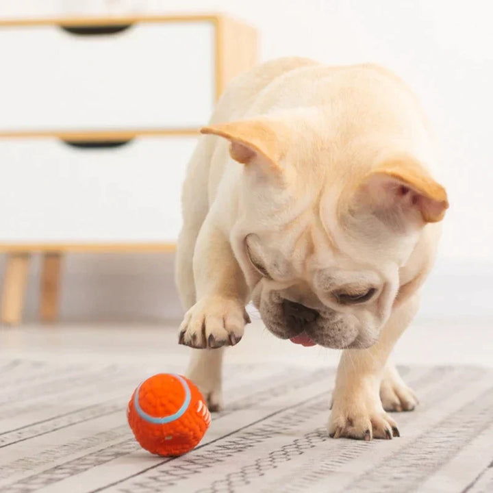 The Indestructible Playmate for Dogs - KryptoChew-Rugby Ball-Small-Nora Luxe