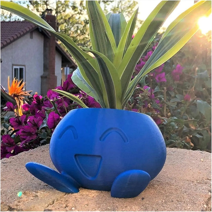 Unique Succulent Pot - QuirkyPot-Nora Luxe