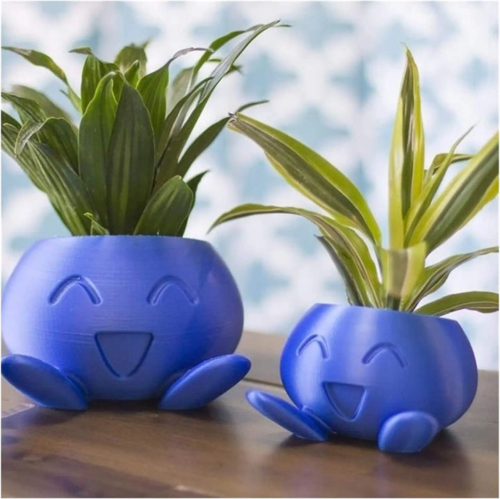 Unique Succulent Pot - QuirkyPot-Nora Luxe