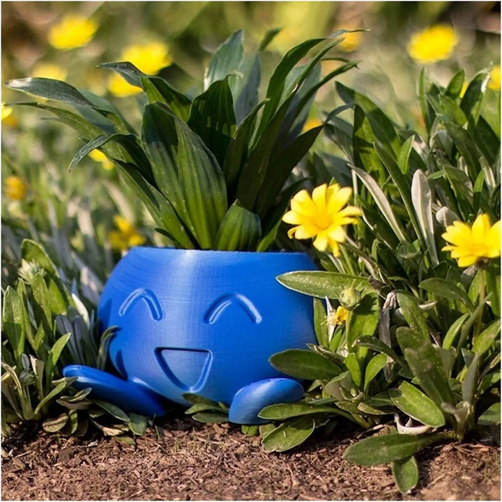 Unique Succulent Pot - QuirkyPot-Nora Luxe