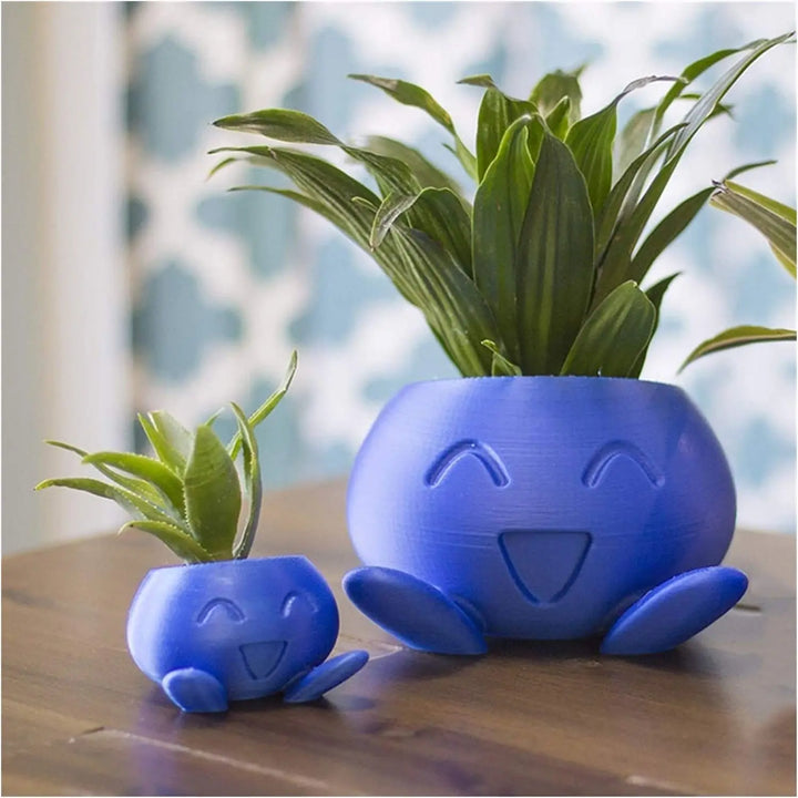 Unique Succulent Pot - QuirkyPot-Nora Luxe