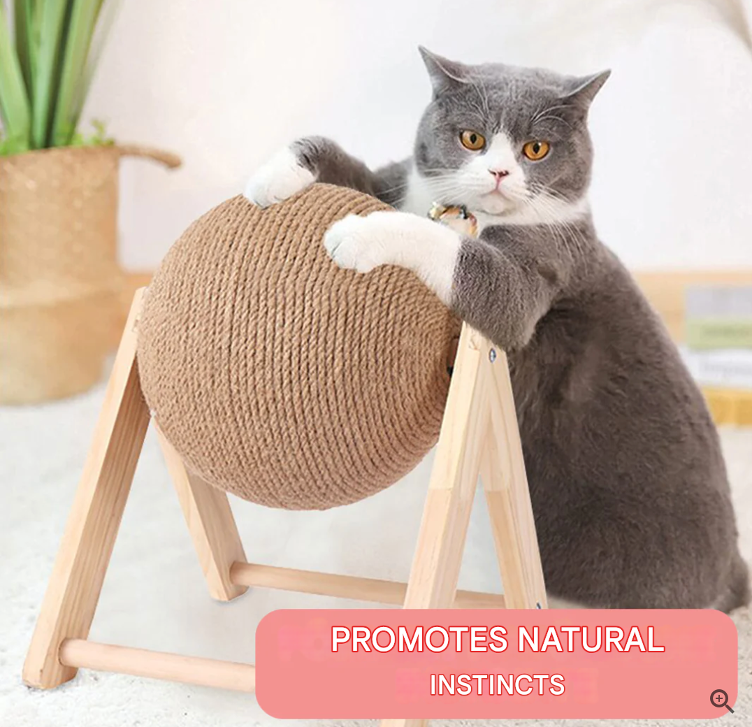 Versatile Cat Toy - CatScratch Wonderland-Small (4.72 inches Diameter)-Nora Luxe