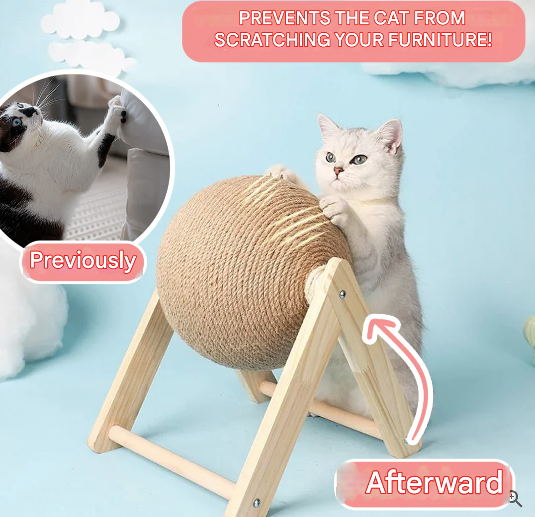 Versatile Cat Toy - CatScratch Wonderland-Small (4.72 inches Diameter)-Nora Luxe