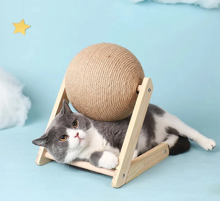 Versatile Cat Toy - CatScratch Wonderland-Small (4.72 inches Diameter)-Nora Luxe