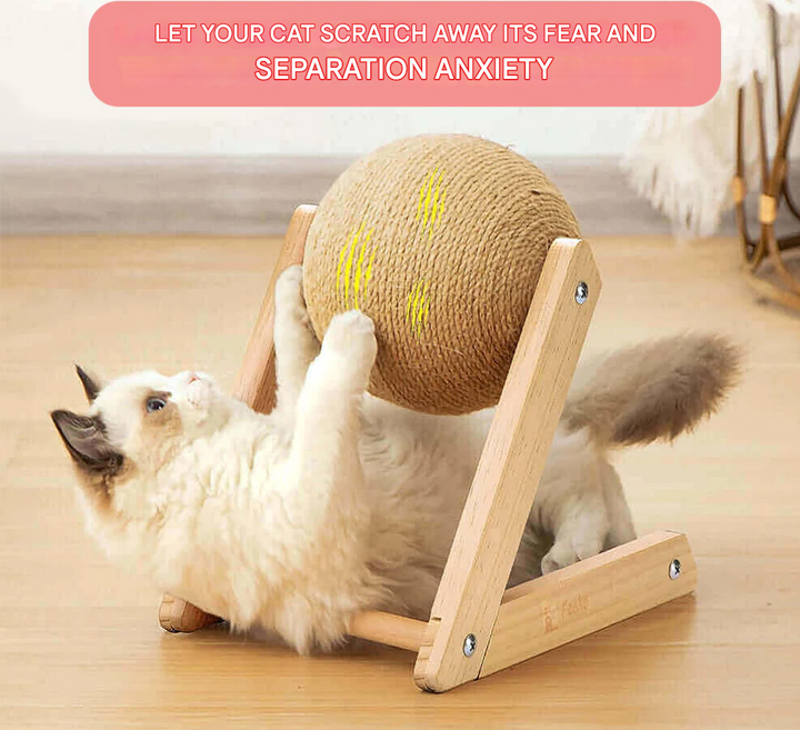 Versatile Cat Toy - CatScratch Wonderland-Small (4.72 inches Diameter)-Nora Luxe