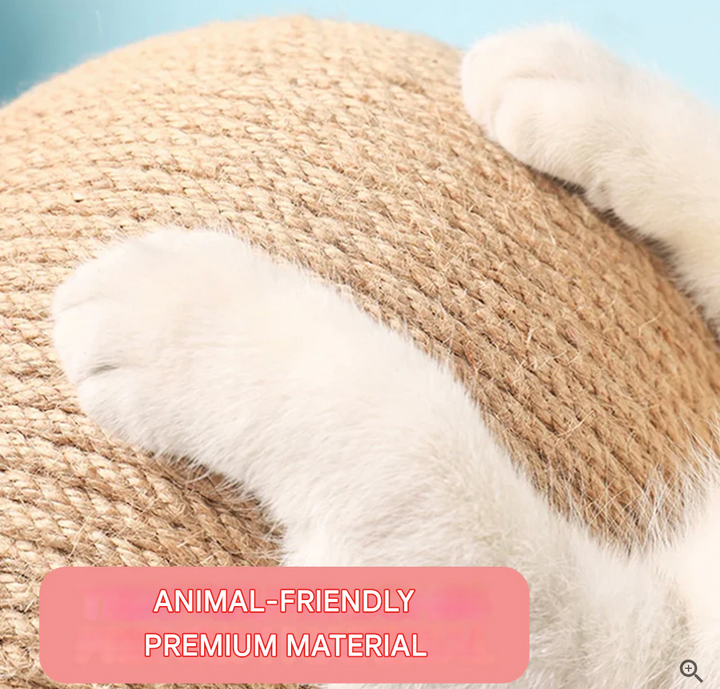 Versatile Cat Toy - CatScratch Wonderland-Small (4.72 inches Diameter)-Nora Luxe