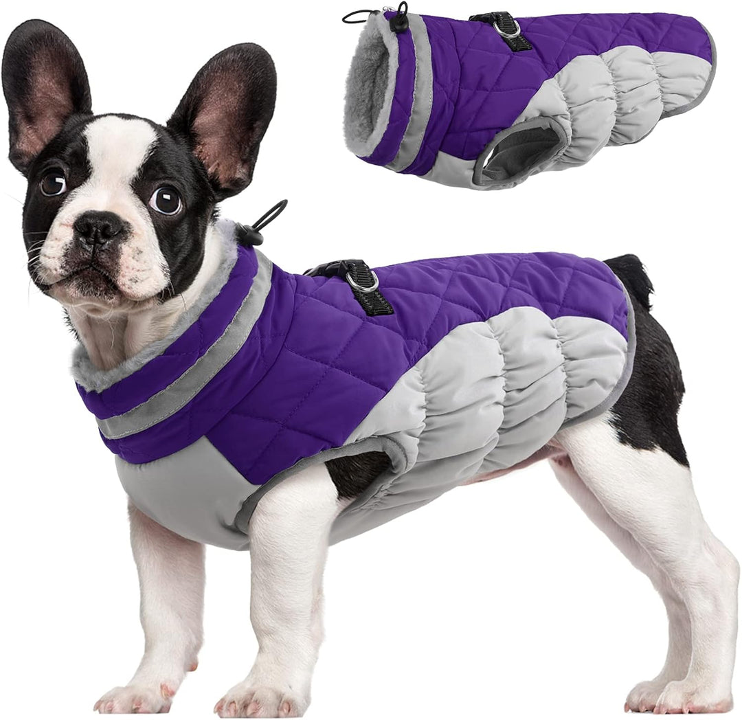 Warm Dog Winter Jacket with Built-in Harness-Purple-XS-Nora Luxe