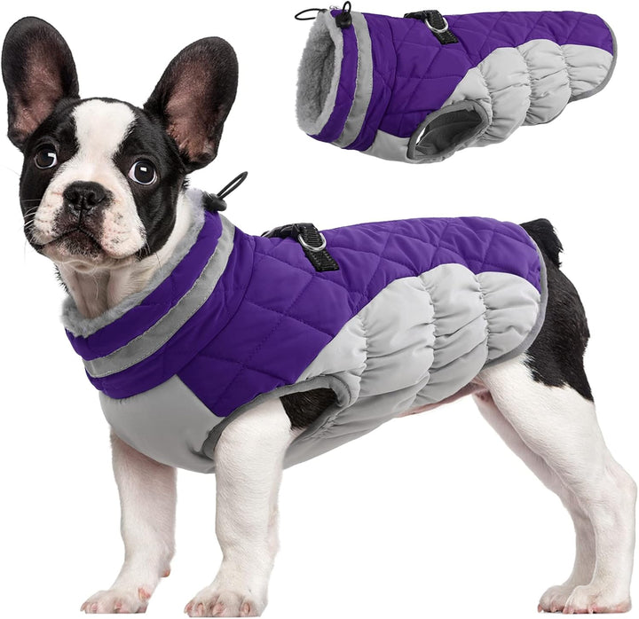 Warm Dog Winter Jacket with Built-in Harness-Purple-XS-Nora Luxe
