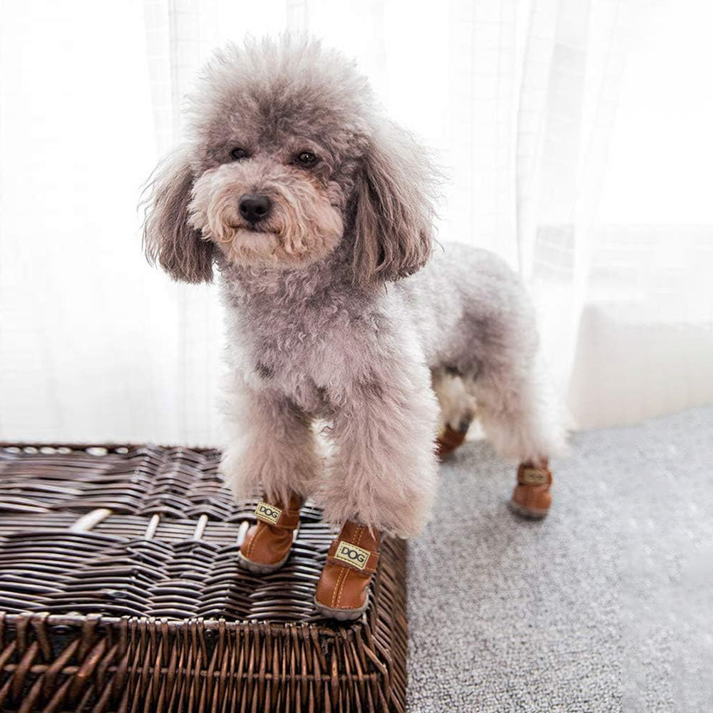 Warm Dogs Snow Boots - SnowPaws-Blue-S (1.57 x 1.18 inches)-Nora Luxe