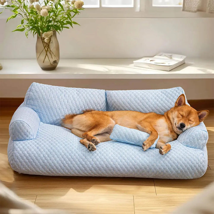 Washable Plush Pet Bed - CozyPaws-Blue-L-Nora Luxe