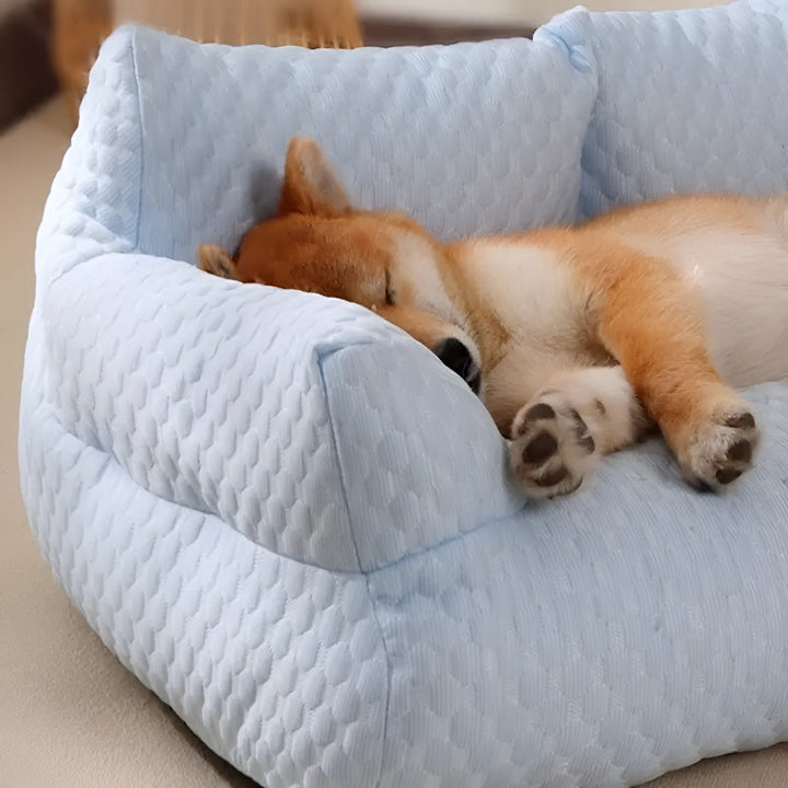 Washable Plush Pet Bed - CozyPaws-Blue-M-Nora Luxe