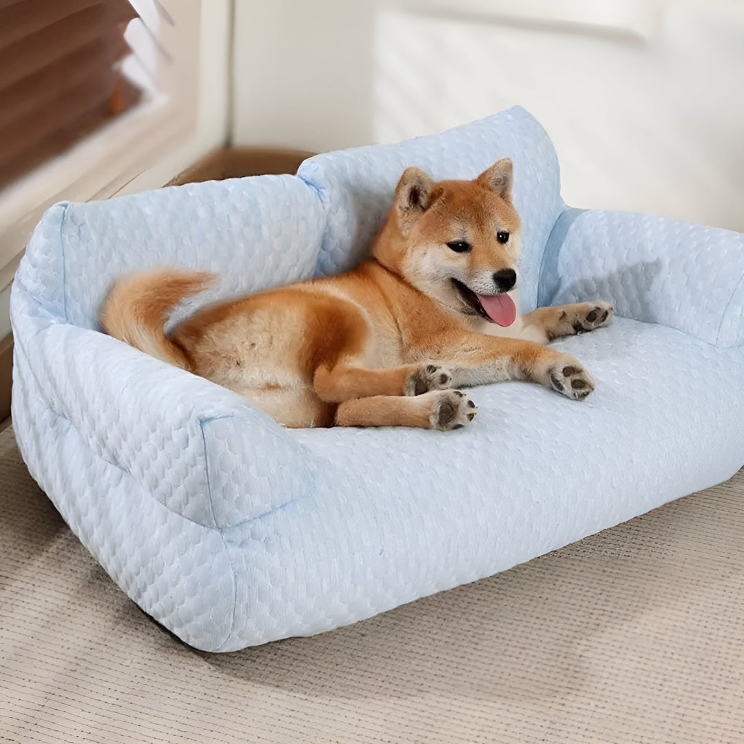Washable Plush Pet Bed - CozyPaws-Blue-M-Nora Luxe