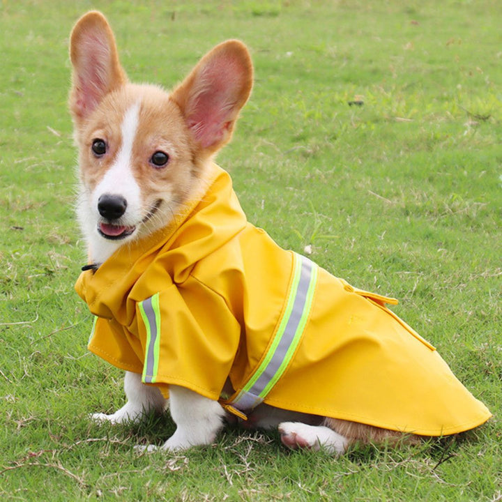 Waterproof Dog Coat - StormPaw-Blue-S-Nora Luxe