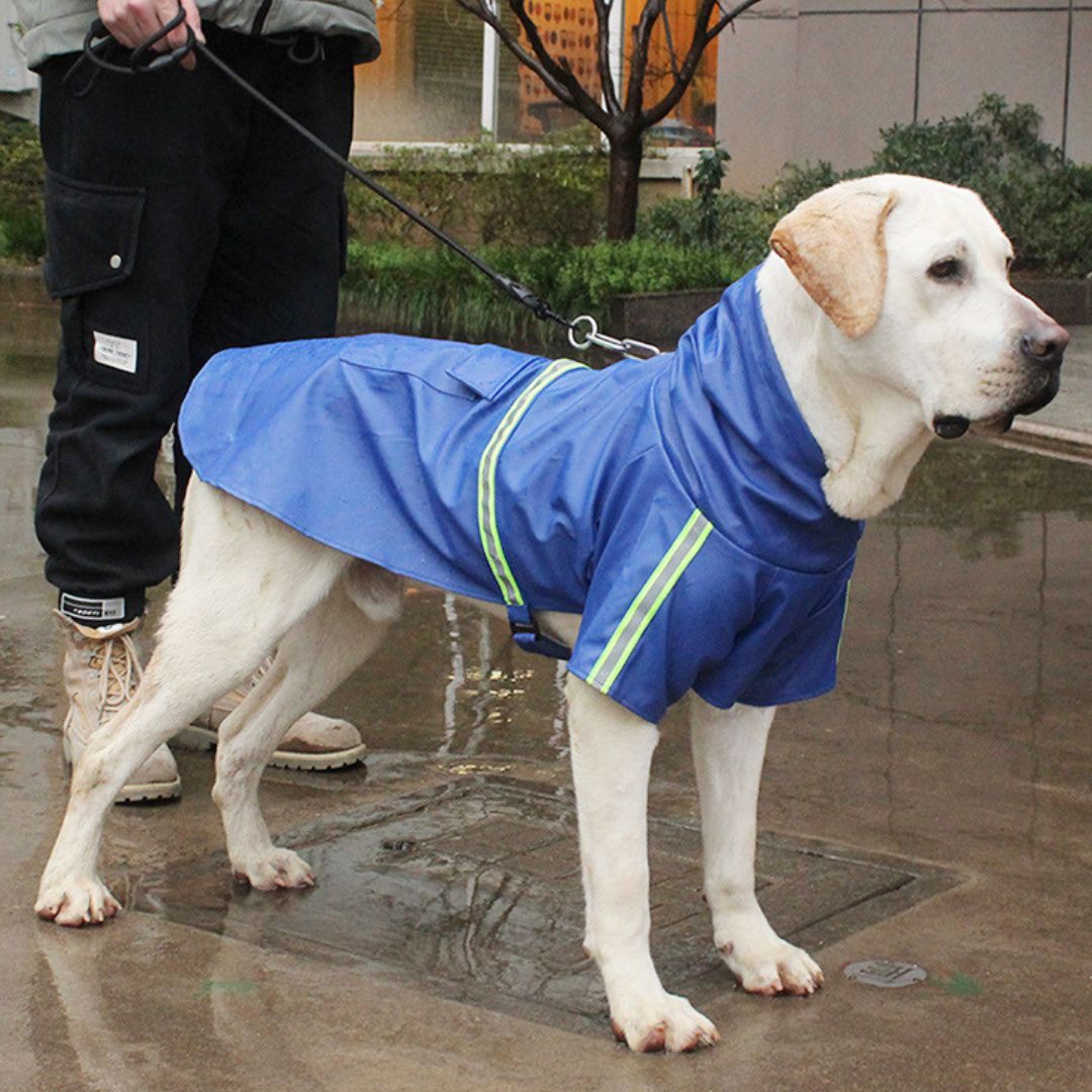 Waterproof Dog Coat - StormPaw-Blue-S-Nora Luxe