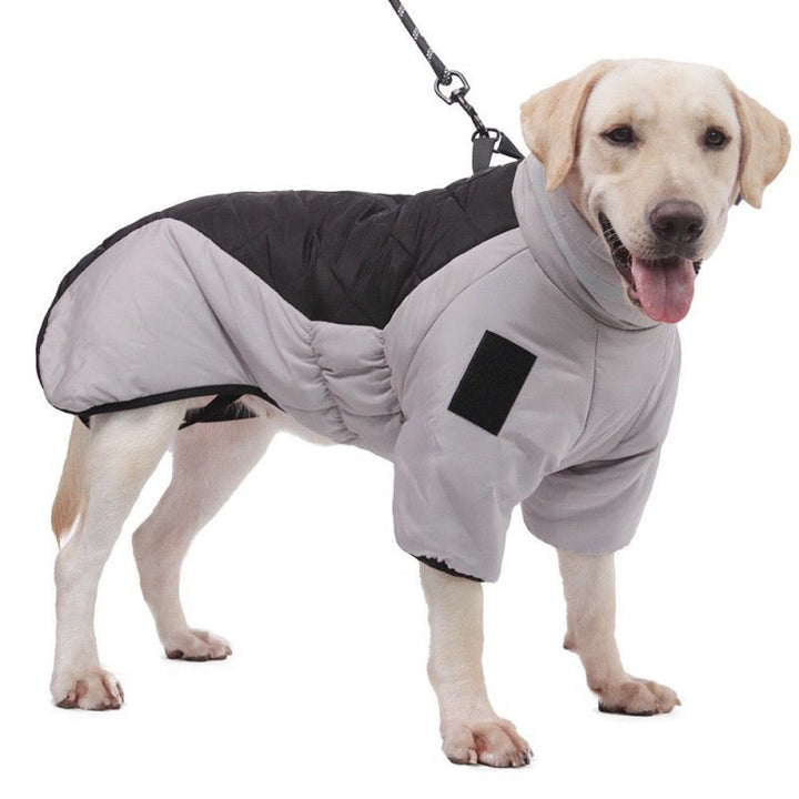 Waterproof Dog Coat - WeatherPaws-Gray-Black-XL-Nora Luxe