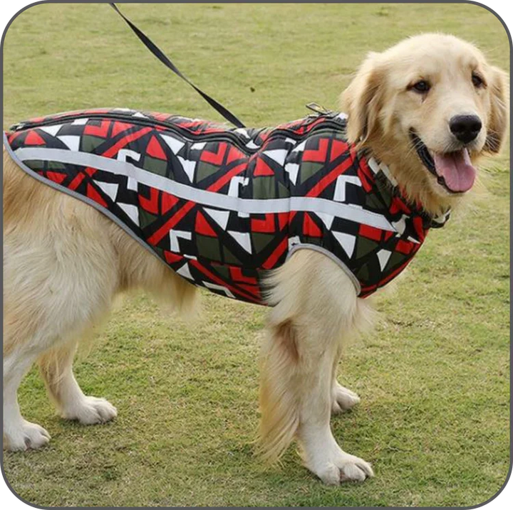 Waterproof Winter Jacket for Dogs - StormGuard-Red graffiti-XS-Nora Luxe