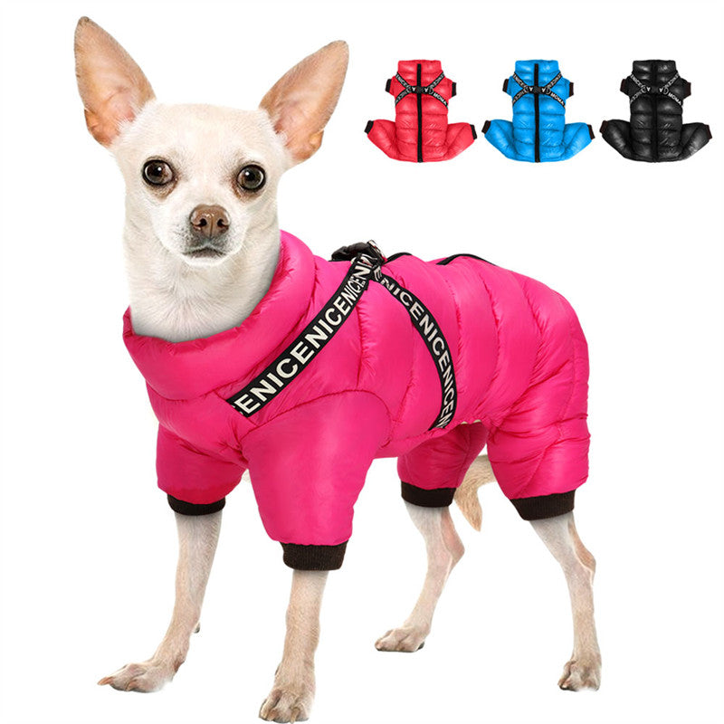 Winter coat for Dogs - ArcticPaws-Black-S-Nora Luxe