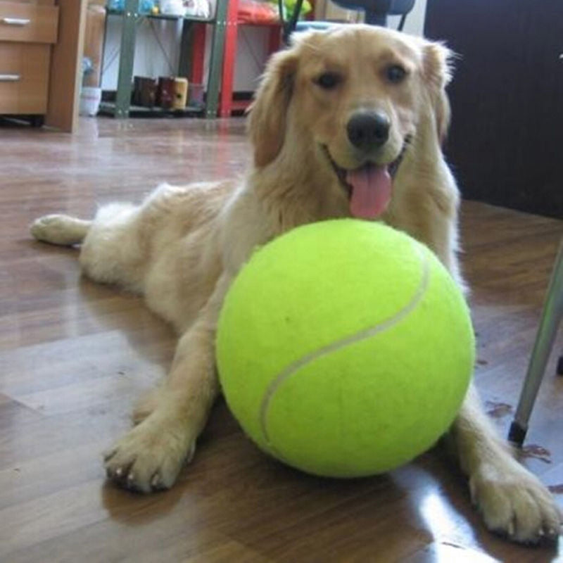 XXL Tennis Ball for Dogs (52.91 inches) - GiantFetch-Nora Luxe
