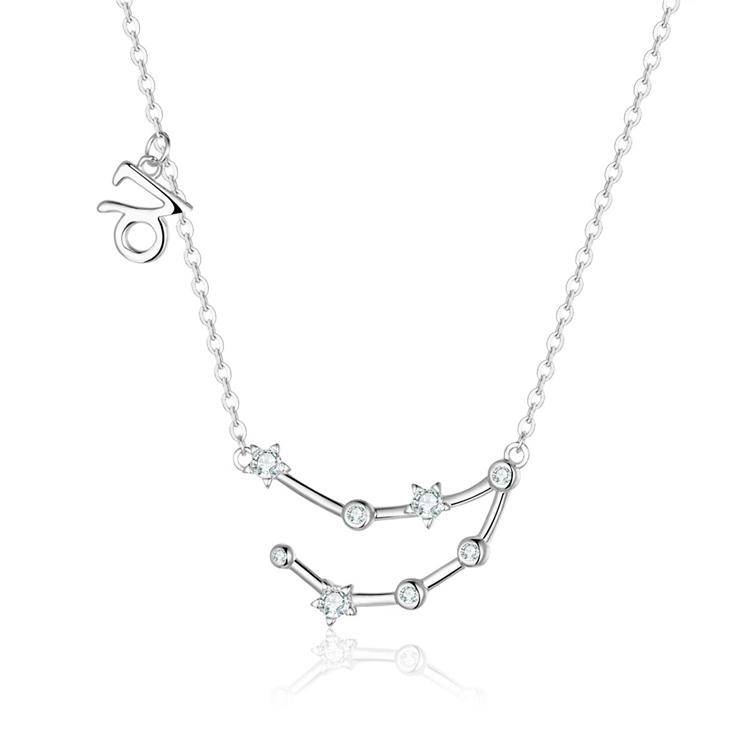 Zodiac Sign Astrology Necklace - Celestia-Silver-Capricorn-Nora Luxe